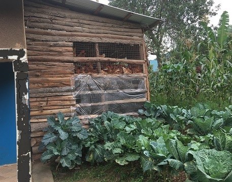 5 - Agriculture